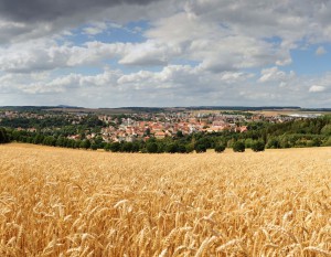 Agencja Nieruchomości Rolnych przeznaczy 6,5 ha na potrzeby programu Mieszkanie plus
