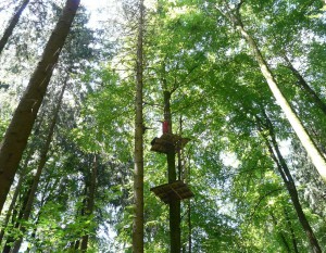 Kalisz doczeka się w końcu parku linowego?