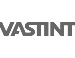 Vastint