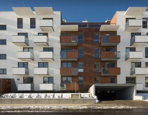 Accent Eco