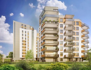 Nowe Południe z wykonawcą