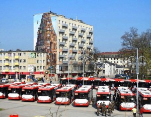 Czterdzieści "jamników" dla Częstochowy