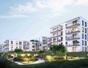 Robyg wchodzi na Białołękę