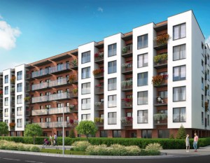 [Kraków] Dwie pierwsze Salsy gotowe do zamieszkania