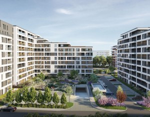 [Katowice] Atal z kontynuacją projektu Francuska Park