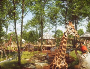 [Łódź] STRABAG rozpoczyna budowę sawanny w ZOO