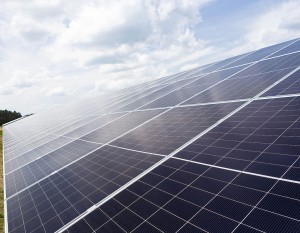 [Lubuskie] OX2 rozpoczyna budowę farmy fotowoltaicznej o wielkiej mocy